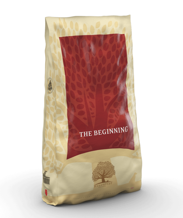 ESSENTIAL the BEGINNING 10KG - Image 3