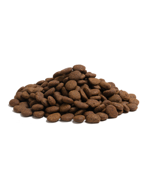ESSENTIAL the BEGINNING LARGE BREED 2,5KG - Image 4