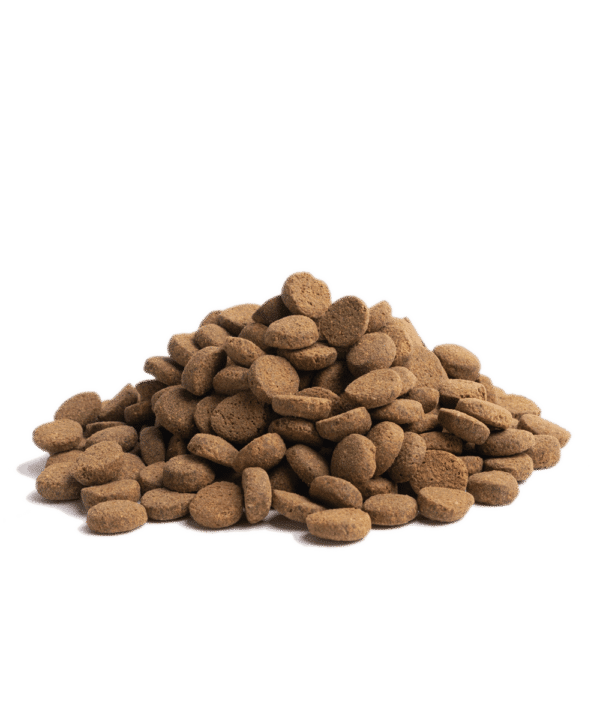 ESSENTIAL OLDER 10KG - Image 5