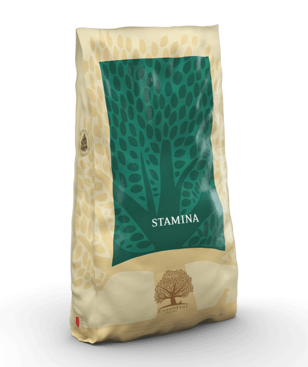 ESSENTIAL STAMINA 10KG - Image 3