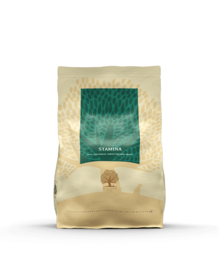 ESSENTIAL STAMINA SMALL SIZE 2,5kg