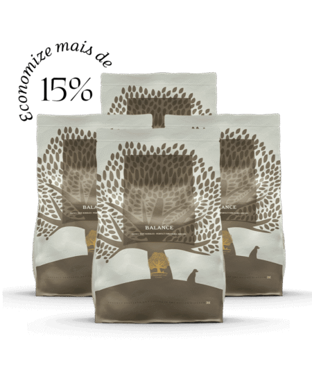 4 x 2,5KG ESSENTIAL BALANCE SMALL SIZE
