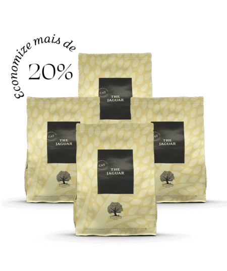 4 x 3KG ESSENTIAL the JAGUAR
