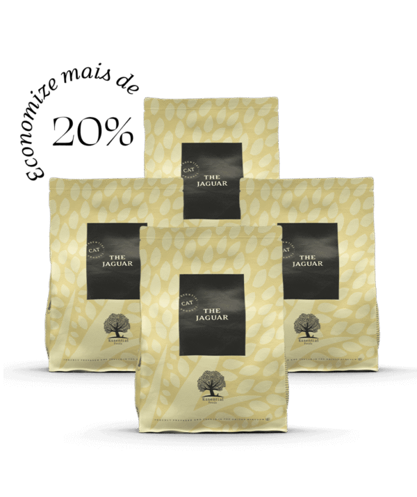 4 x 3KG ESSENTIAL the JAGUAR
