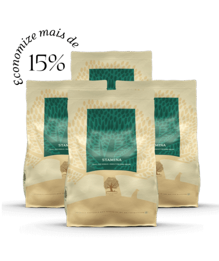 4 x 2,5KG ESSENTIAL STAMINA SMALL SIZE