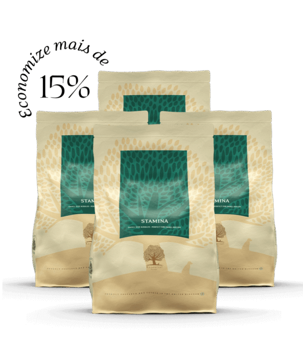 4 x 2,5KG ESSENTIAL STAMINA SMALL SIZE