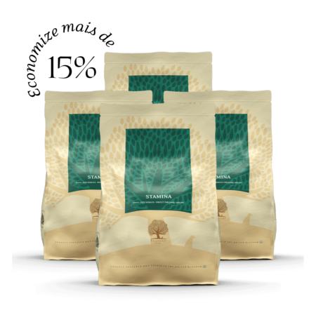 4 x 2,5KG ESSENTIAL STAMINA SMALL SIZE