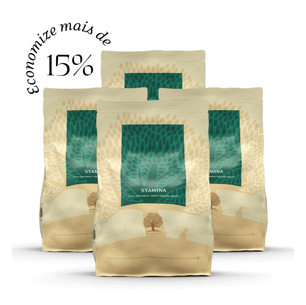 4 x 2,5KG ESSENTIAL STAMINA SMALL SIZE