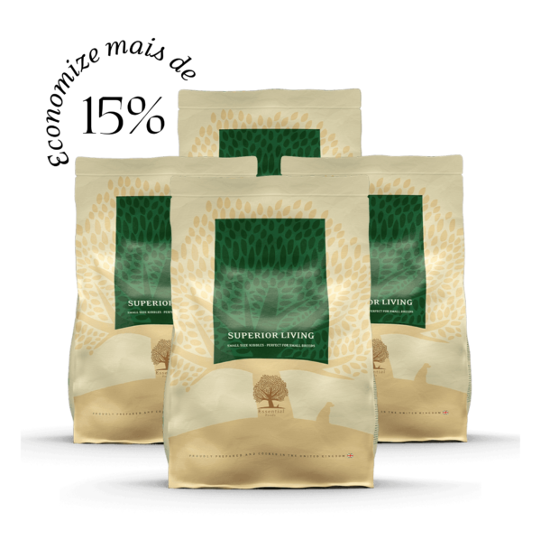 4 x 2,5KG ESSENTIAL SUPERIOR LIVING SMALL SIZE