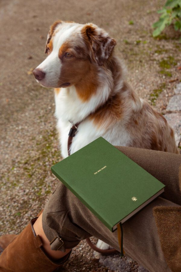 The ESSENTIAL DIARY - Image 2