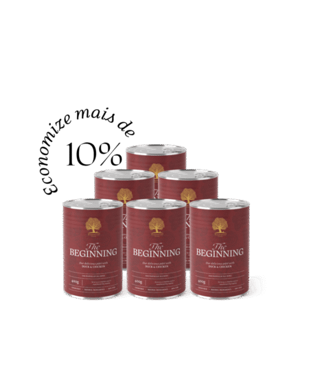 ESSENTIAL The BEGINNING PATÊ 6x400GR