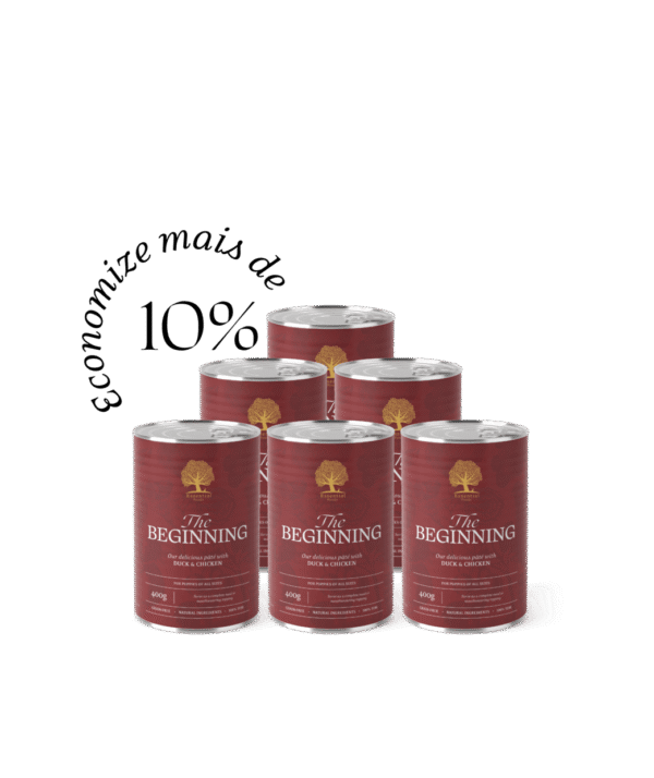 ESSENTIAL The BEGINNING PATÊ 6x400GR