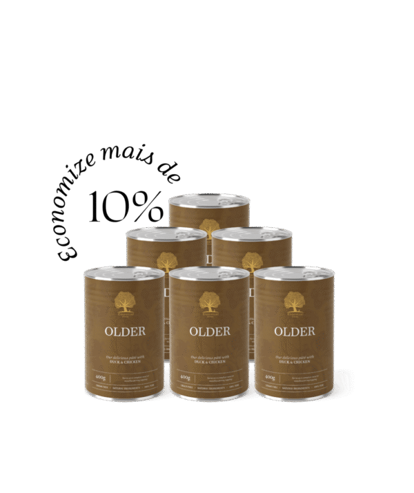 ESSENTIAL OLDER PATÊ 6x400GR