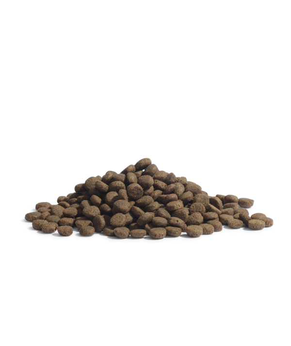 ESSENTIAL The PANTHER CAT 75 GR - Image 2