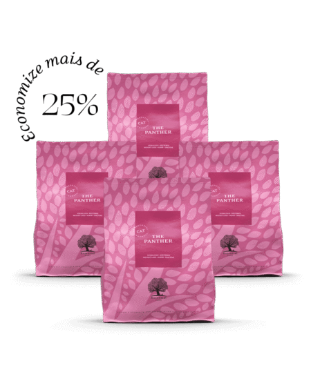 4 x 1,5kg ESSENTIAL The PANTHER