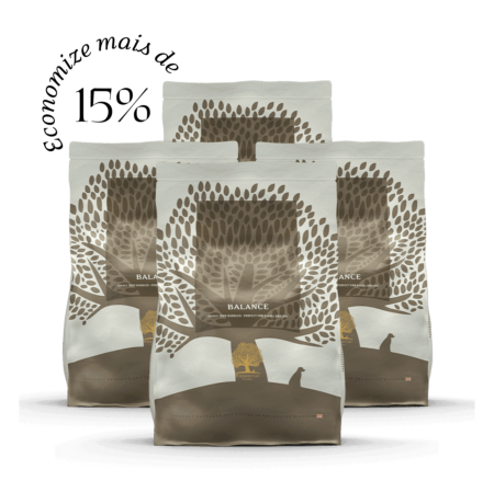 4 x 2,5KG ESSENTIAL BALANCE SMALL SIZE