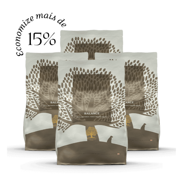 4 x 2,5KG ESSENTIAL BALANCE SMALL SIZE