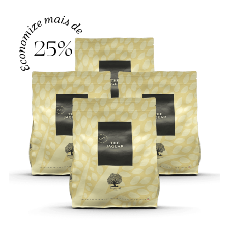 4 x 3KG ESSENTIAL the JAGUAR