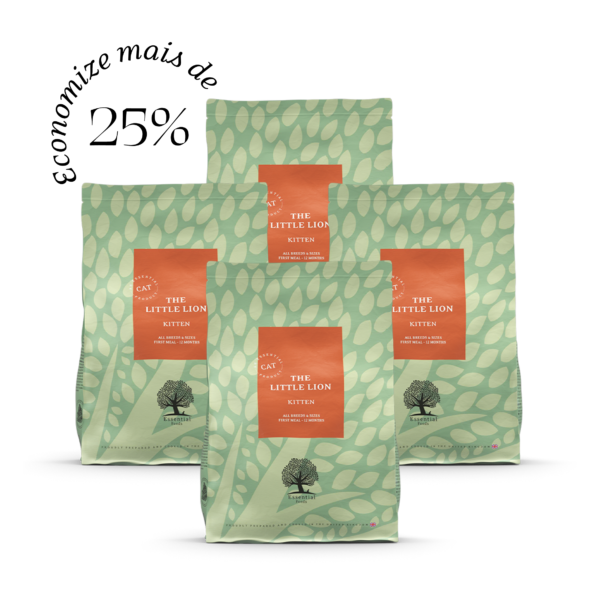 4 x 1,5kg ESSENTIAL the LITTLE LION