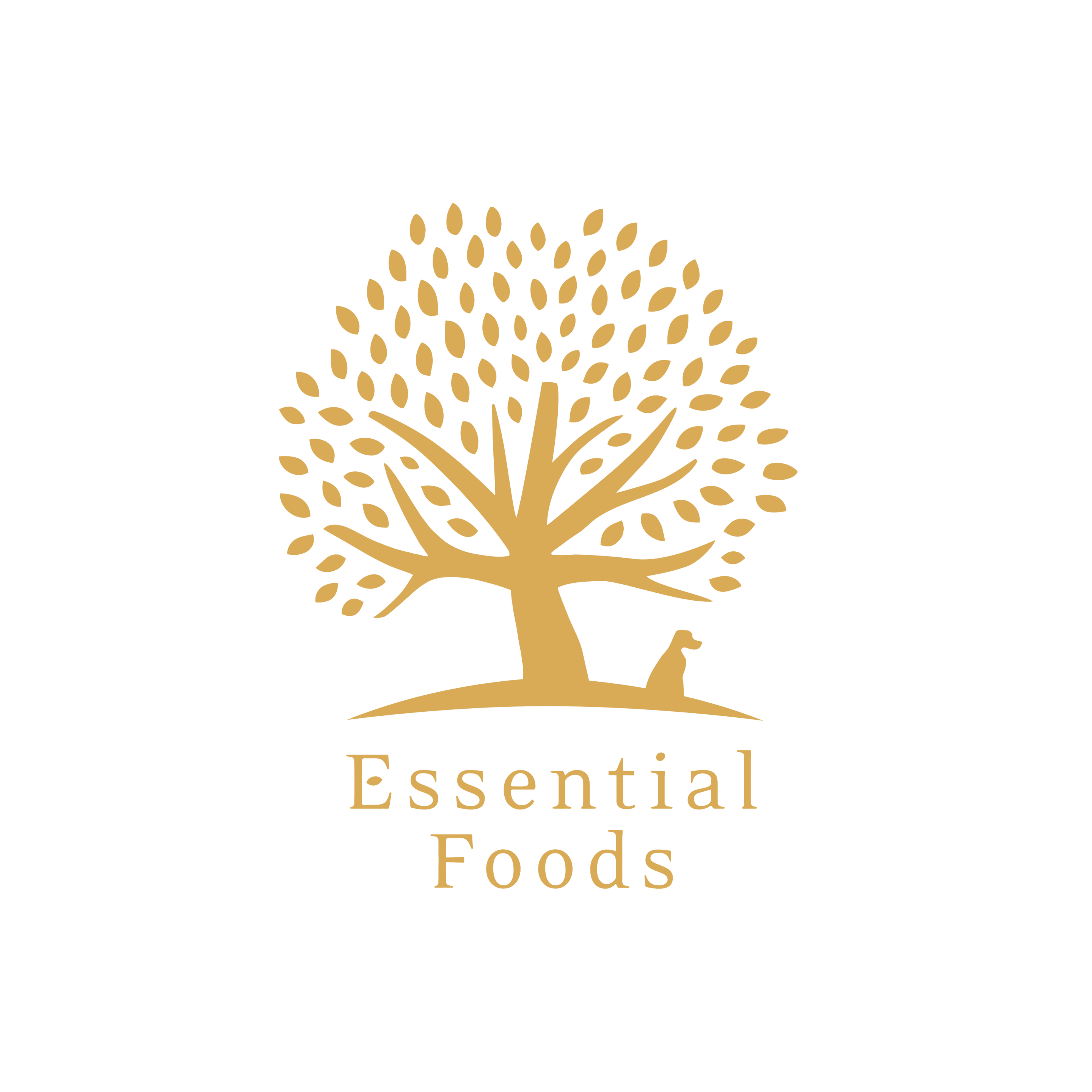 Logo_Transparent_Background logotipo essentialfoods españa