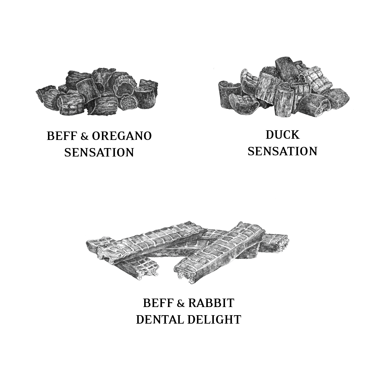 ESSENTIAL THE CHRISTMAS DOG PRESENT - Image 2