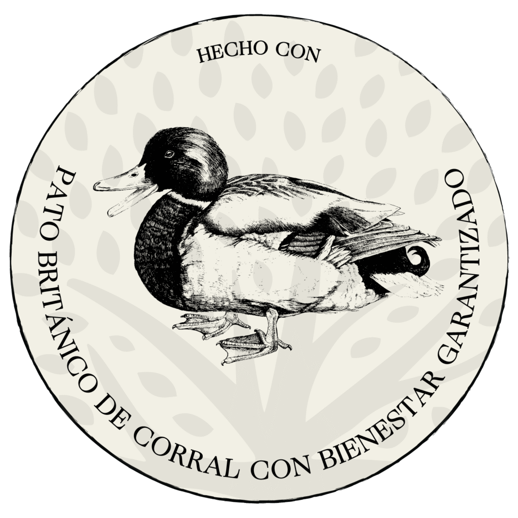 pato británico