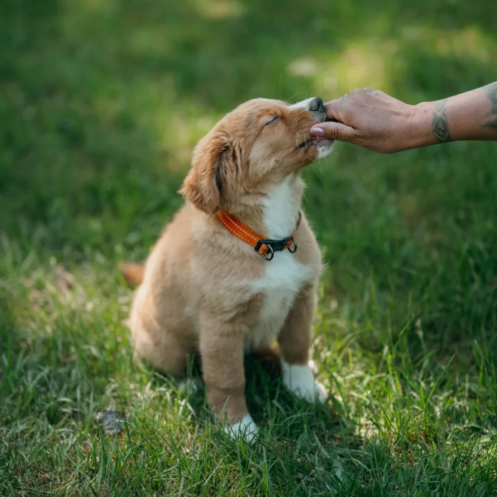 Smalle-breed-3