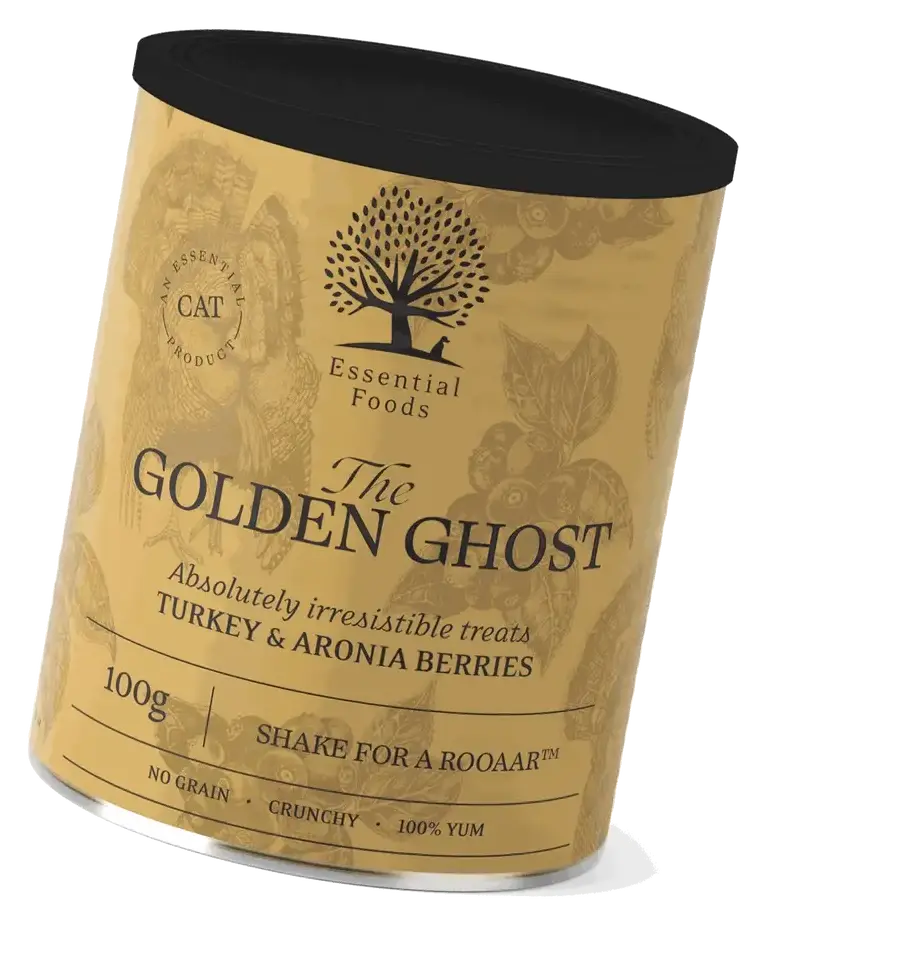 THE GOLDEN GHOST - Image 3