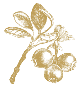 Arandos
