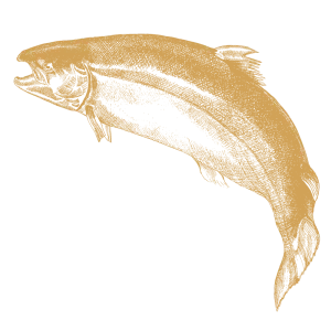 Salmão de aquacultura responsável