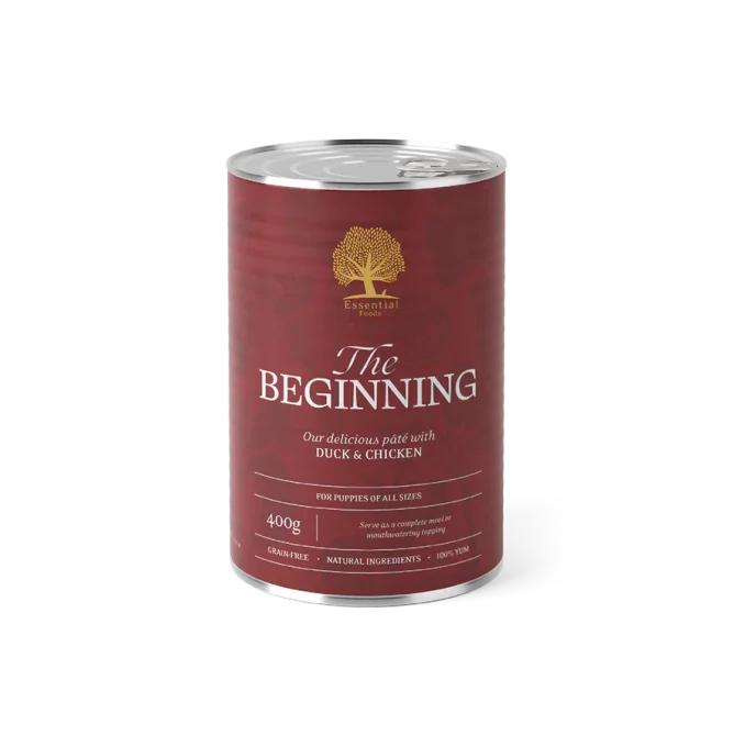 Beginning_pate