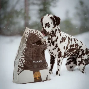 Dog-18