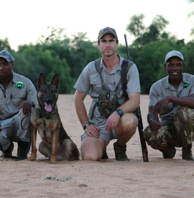 Dogs4WildLife