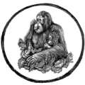 Palm-oil-free-icon