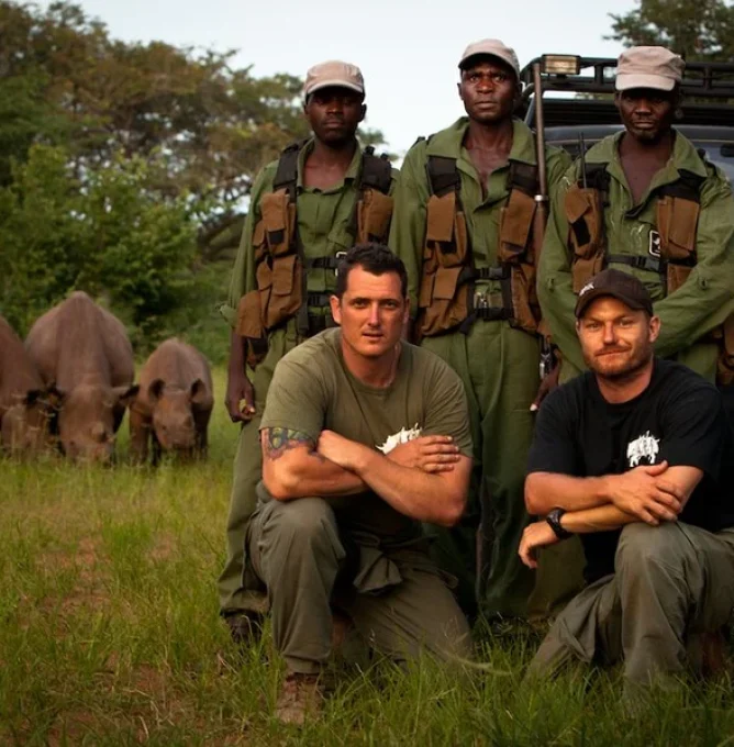 Rhinos