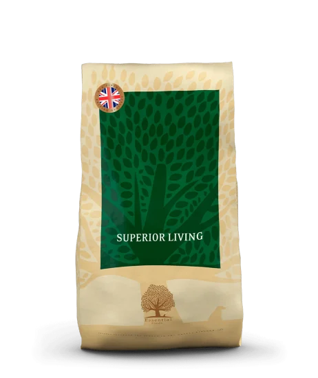 SUPERIOR_10-kg_UK